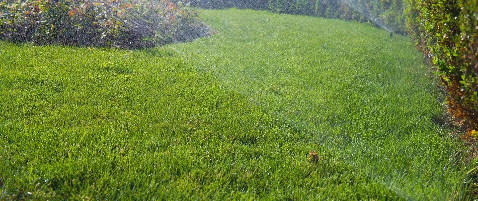 Lawn irrigation watering grass in Cary, NC.