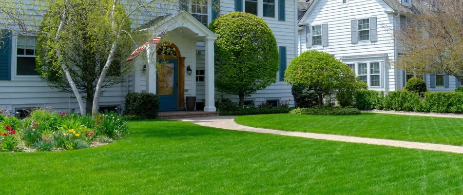 Lush mowed grass on a residential property in Knightdale, NC.