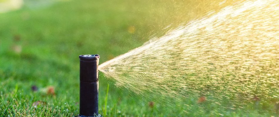 Sprinkler head dispensing water on a lawn in Knightdale, NC.