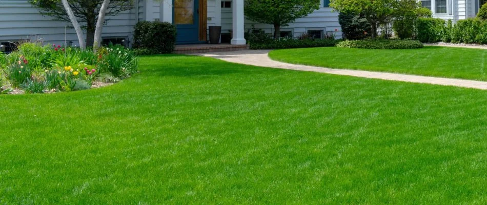 Thick green lawn in Rolesville, NC, and colorful flowers.