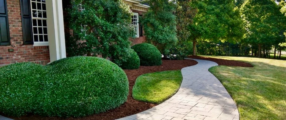 Manicured landscape in Durham County, NC.